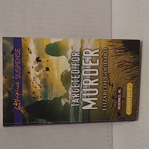 10 Large Print Love Inspired Suspense Inspirational Romance Paperback Books - Picture 6 of 16